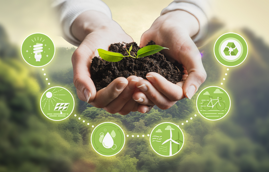 Reasons to insist on sustainable development
