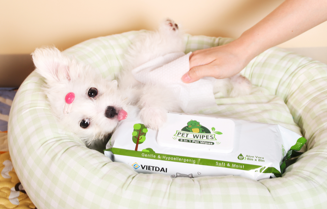 Choosing pet wipes for your pet, care starts with the details